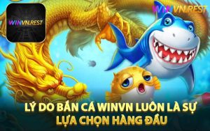 Lý Do Bắn Cá WINVN Luôn Là Sự Lựa Chọn Hàng Đầu