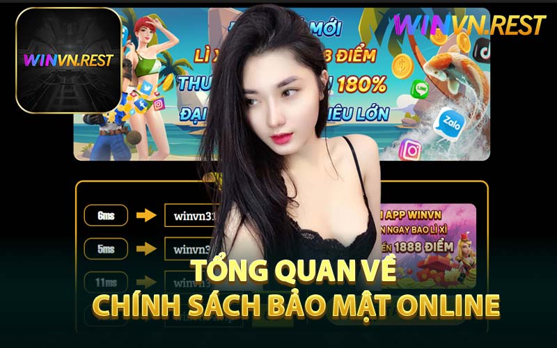 Tổng Quan Về Chính Sách Bảo Mật Online