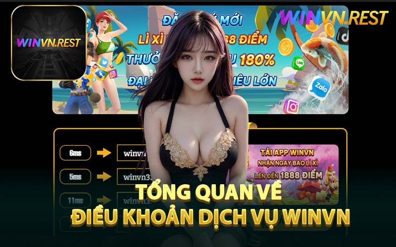 Tổng Quan Về Điều Khoản Dịch Vụ WINVN